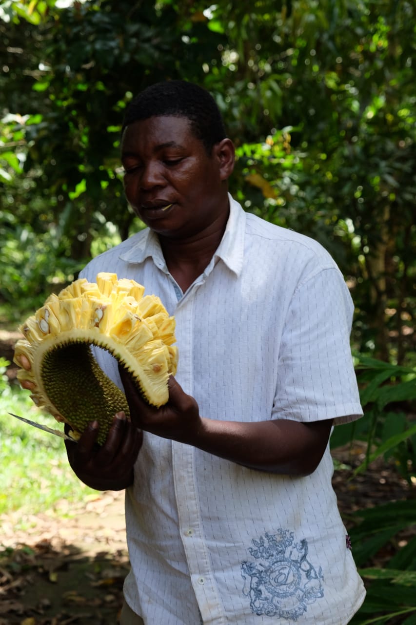 Our guide found us a jackfruit and we ate the whole thing